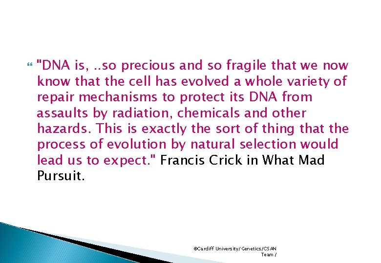  "DNA is, . . so precious and so fragile that we now know