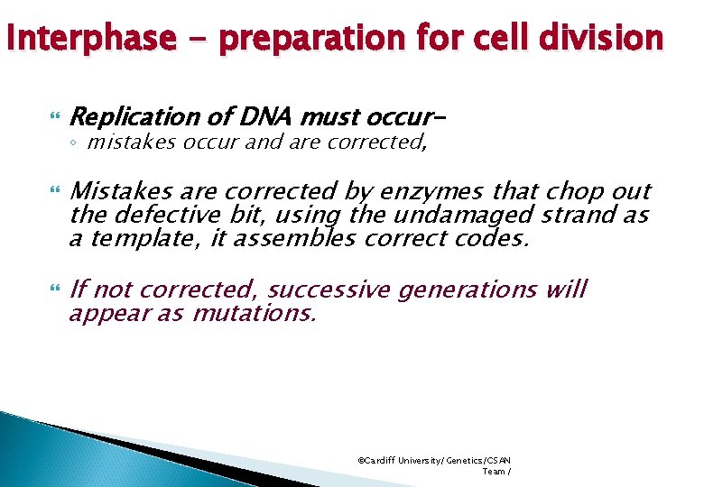 Interphase - preparation for cell division Replication of DNA must occur◦ mistakes occur and