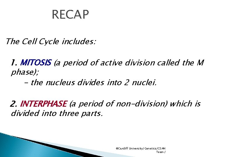 RECAP The Cell Cycle includes: 1. MITOSIS (a period of active division called the