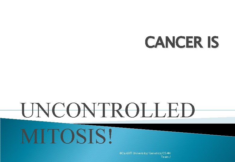 CANCER IS UNCONTROLLED MITOSIS! ©Cardiff University/Genetics/CSAN Team/ 