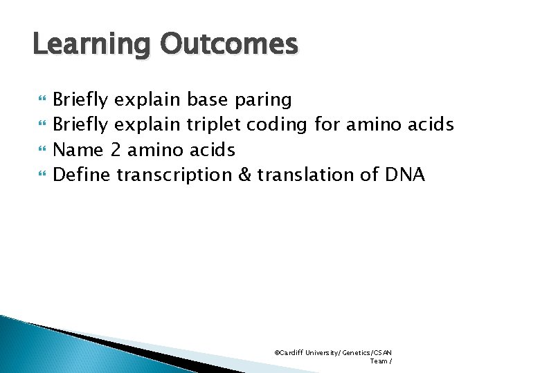 Learning Outcomes Briefly explain base paring Briefly explain triplet coding for amino acids Name
