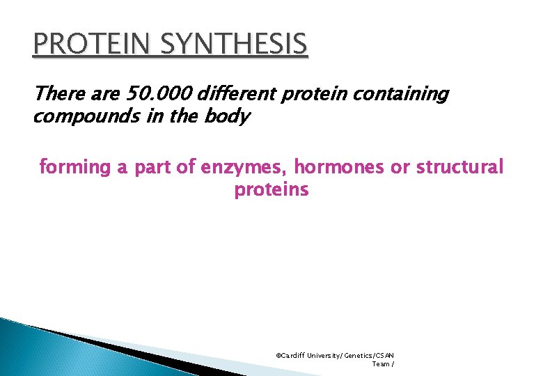 PROTEIN SYNTHESIS There are 50. 000 different protein containing compounds in the body forming