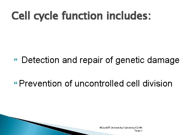 Cell cycle function includes: Detection and repair of genetic damage Prevention of uncontrolled cell