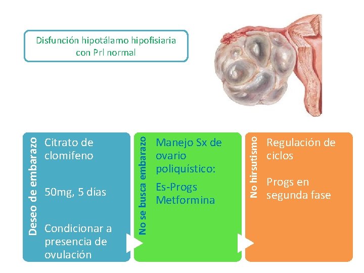 50 mg, 5 días Condicionar a presencia de ovulación Manejo Sx de ovario poliquístico: