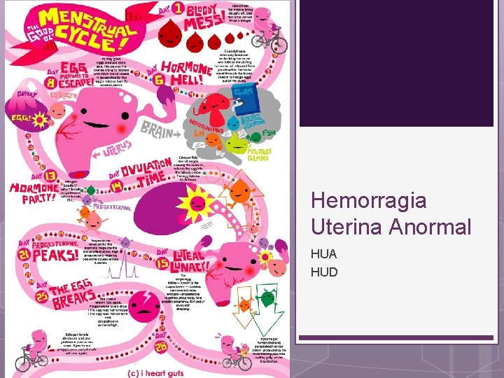 Hemorragia Uterina Anormal HUA HUD 