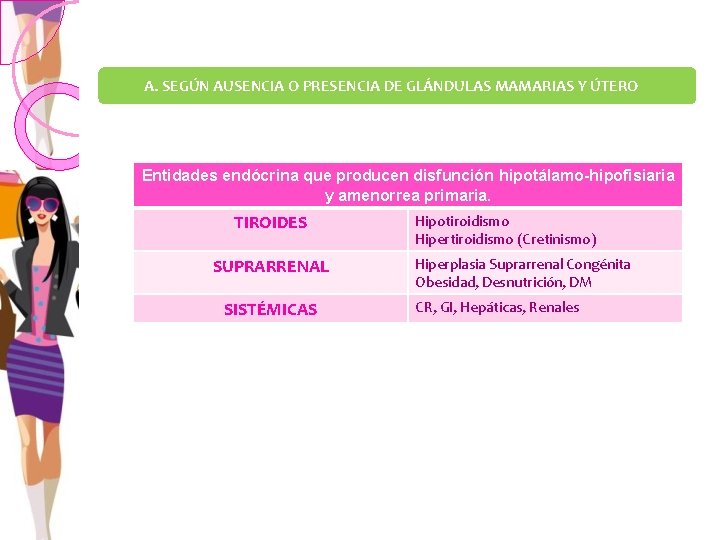 A. SEGÚN AUSENCIA O PRESENCIA DE GLÁNDULAS MAMARIAS Y ÚTERO Entidades endócrina que producen
