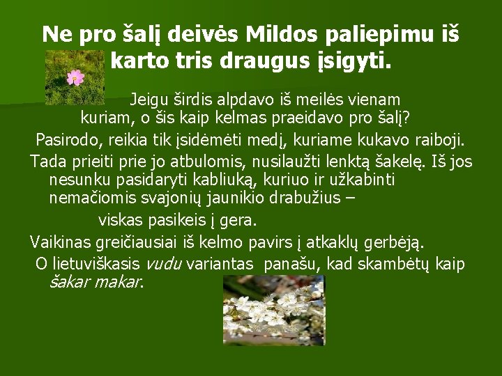 Ne pro šalį deivės Mildos paliepimu iš karto tris draugus įsigyti. Jeigu širdis alpdavo