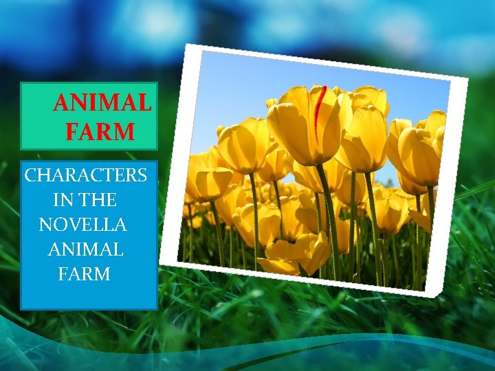 ANIMAL FARM CHARACTERS IN THE NOVELLA ANIMAL FARM 