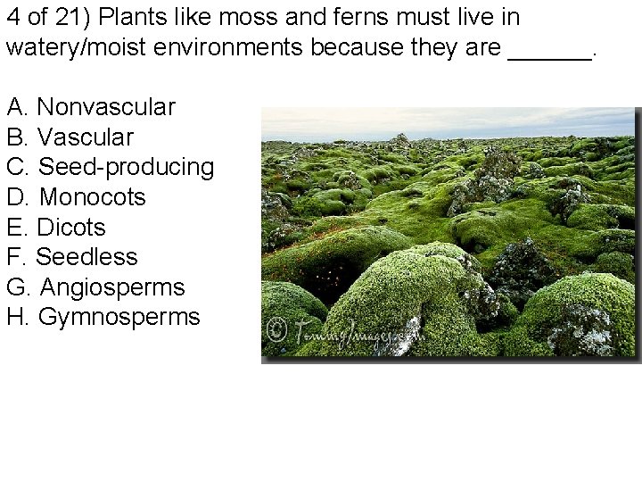 4 of 21) Plants like moss and ferns must live in watery/moist environments because