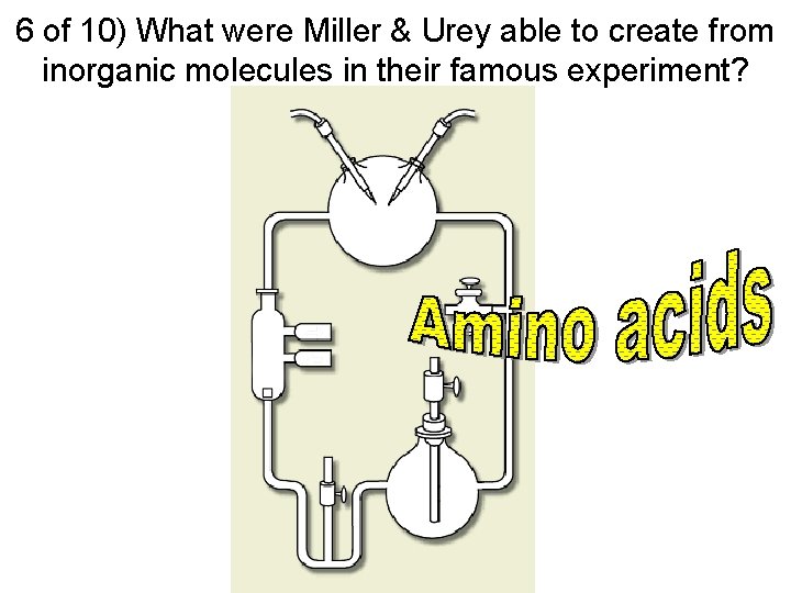 6 of 10) What were Miller & Urey able to create from inorganic molecules