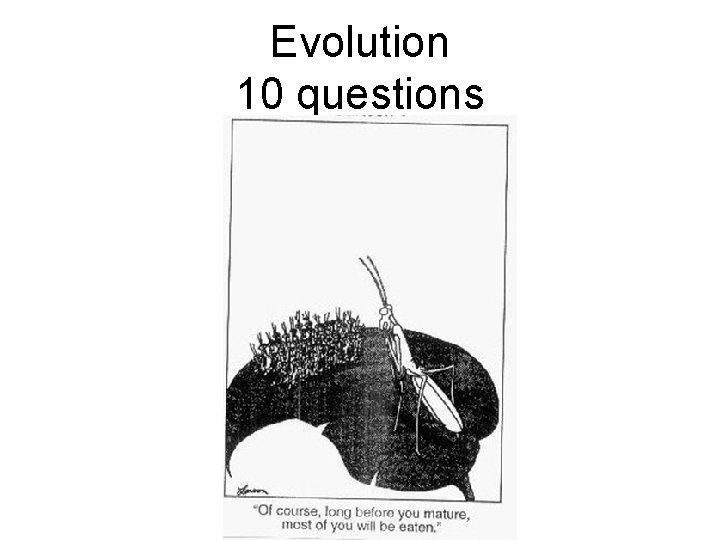 Evolution 10 questions 