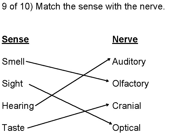 9 of 10) Match the sense with the nerve. Sense Nerve Smell Auditory Sight