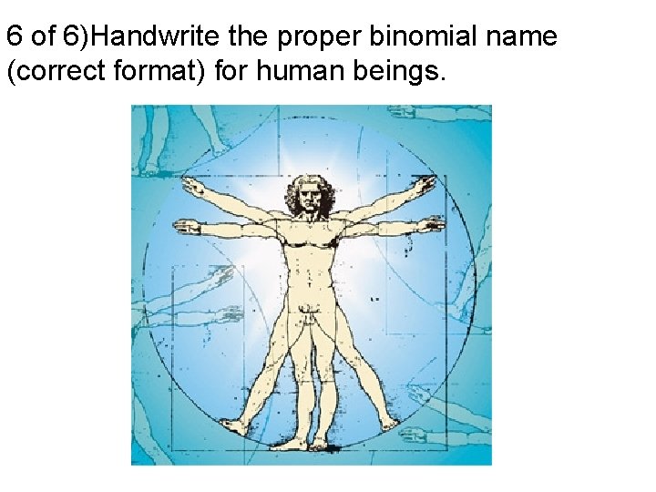 6 of 6)Handwrite the proper binomial name (correct format) for human beings. 