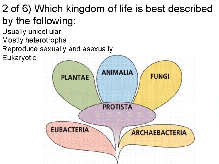 2 of 6) Which kingdom of life is best described by the following: Usually