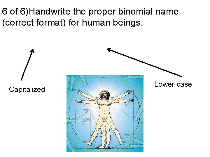 6 of 6)Handwrite the proper binomial name (correct format) for human beings. Capitalized Lower-case