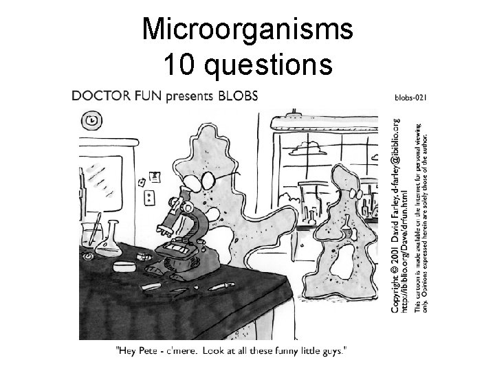 Microorganisms 10 questions 