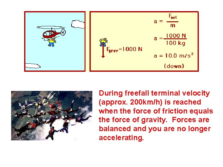 During freefall terminal velocity (approx. 200 km/h) is reached when the force of friction