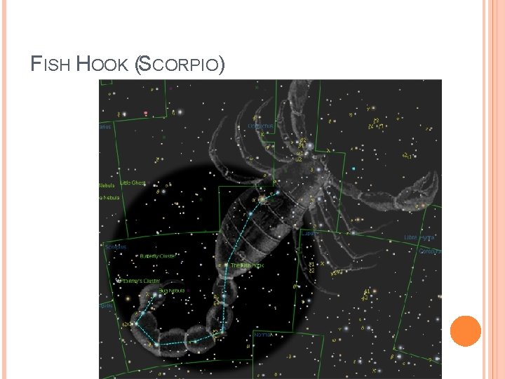 FISH HOOK (SCORPIO) 