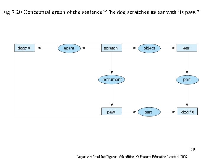 Fig 7. 20 Conceptual graph of the sentence “The dog scratches its ear with