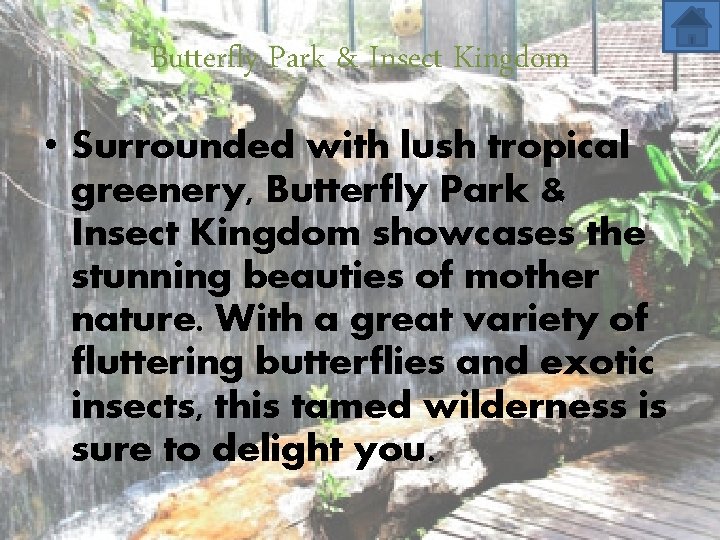 Butterfly Park & Insect Kingdom • Surrounded with lush tropical greenery, Butterfly Park &