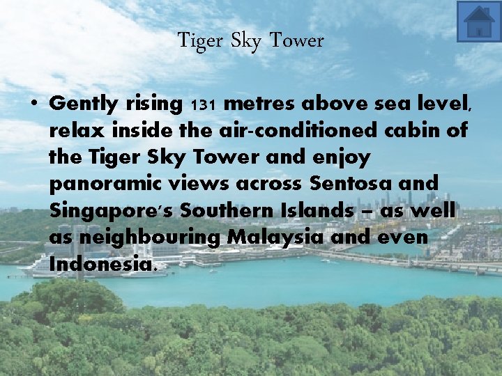 Tiger Sky Tower • Gently rising 131 metres above sea level, relax inside the