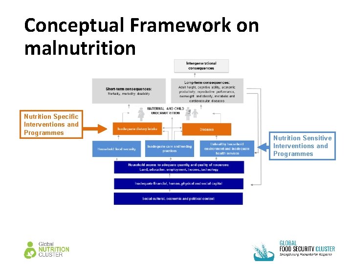 Conceptual Framework on malnutrition Nutrition Specific Interventions and Programmes Nutrition Sensitive Interventions and Programmes Conceptual Framework on malnutrition Nutrition Specific Interventions and Programmes Nutrition Sensitive Interventions and Programmes
