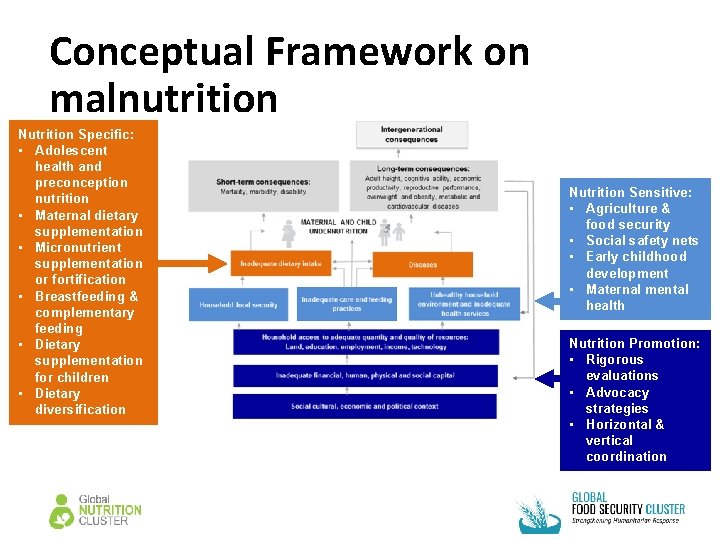 Conceptual Framework on malnutrition Nutrition Specific: • Adolescent health and preconception nutrition • Maternal Conceptual Framework on malnutrition Nutrition Specific: • Adolescent health and preconception nutrition • Maternal