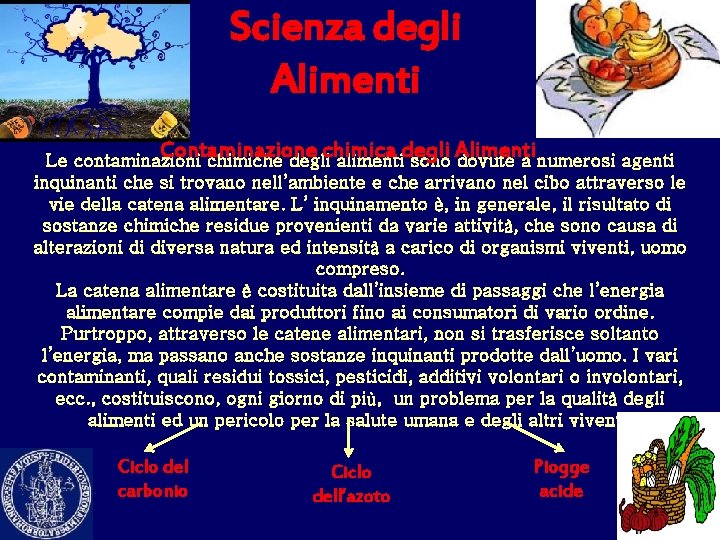 Scienza degli Alimenti Contaminazione chimica degli Alimenti Le contaminazioni chimiche degli alimenti sono dovute