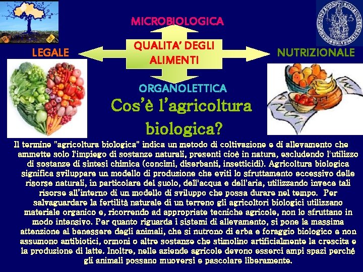 MICROBIOLOGICA LEGALE QUALITA’ DEGLI ALIMENTI NUTRIZIONALE ORGANOLETTICA Cos’è l’agricoltura biologica? Il termine "agricoltura biologica"