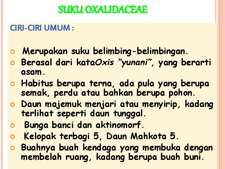 SUKU OXALIDACEAE CIRI-CIRI UMUM : Merupakan suku belimbing-belimbingan. Berasal dari kata. Oxis “yunani”, yang