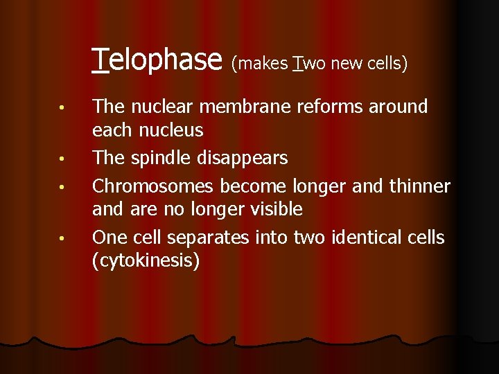 Telophase (makes Two new cells) • • The nuclear membrane reforms around each nucleus