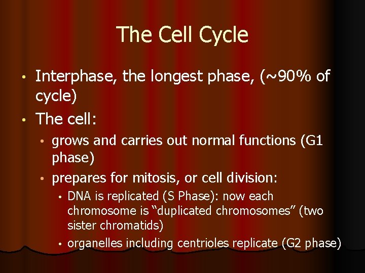 The Cell Cycle Interphase, the longest phase, (~90% of cycle) • The cell: •