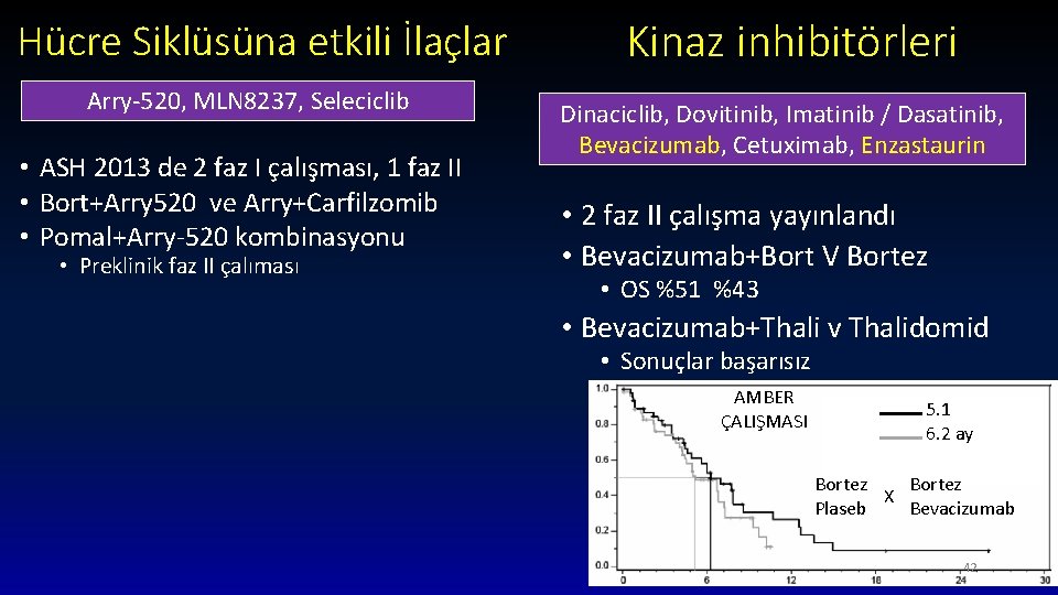 Hücre Siklüsüna etkili İlaçlar Arry-520, MLN 8237, Seleciclib • ASH 2013 de 2 faz