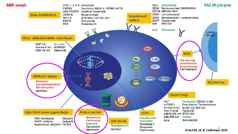 ABD onaylı FAZ III Çalışma Kinaz inhibitörleri Monoklonal antikor Hücre siklüsünü inhibe eden ilaçlar