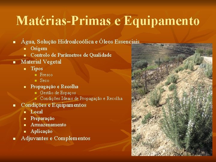 Matérias-Primas e Equipamento n Água, Solução Hidroalcoólica e Óleos Essenciais n n n Origem