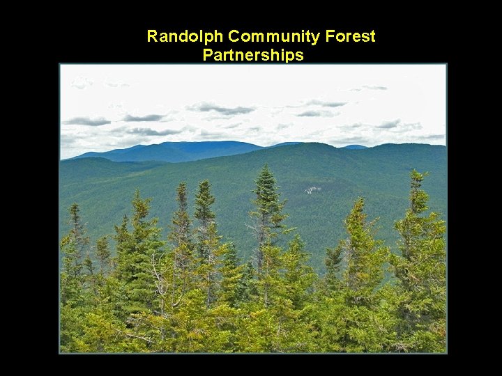 Randolph Community Forest Partnerships 