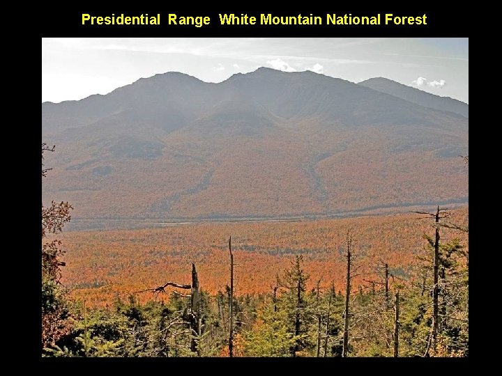 Presidential Range White Mountain National Forest 