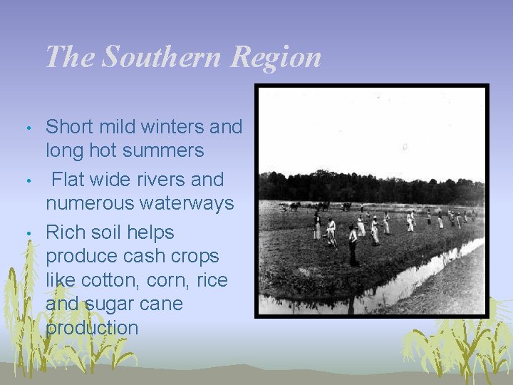 The Southern Region • • • Short mild winters and long hot summers Flat