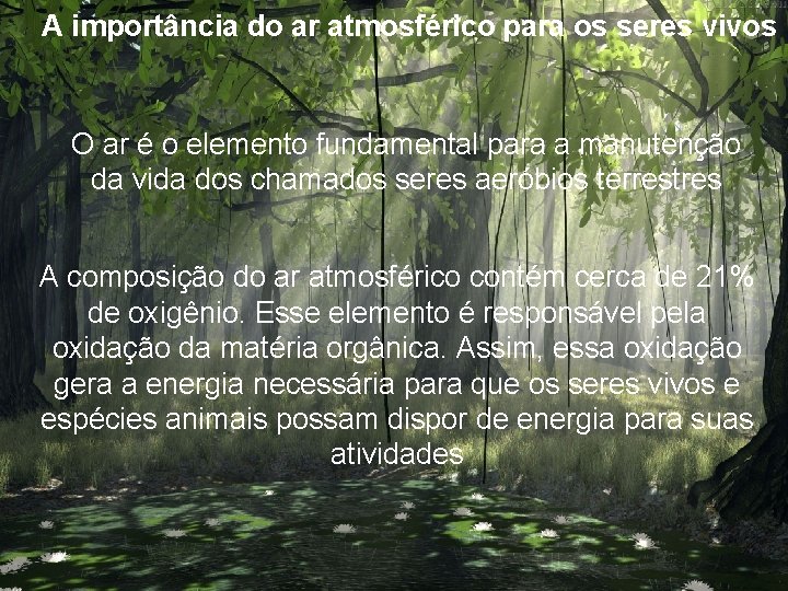 A importncia do ar atmosfrico para os seres