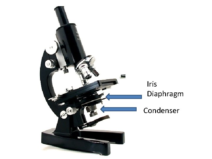 Iris Diaphragm Condenser 