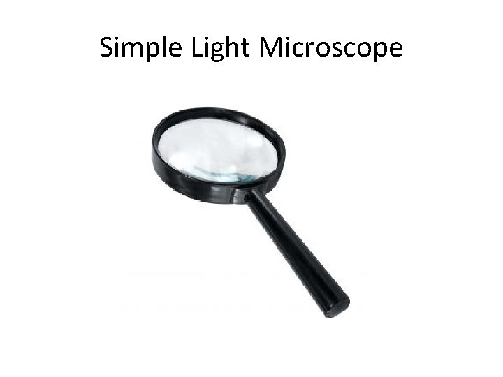 Simple Light Microscope 