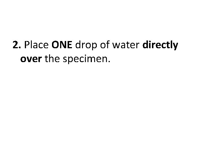 2. Place ONE drop of water directly over the specimen. 