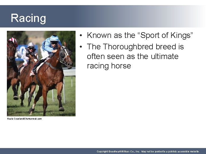 Racing • Known as the “Sport of Kings” • The Thoroughbred breed is often
