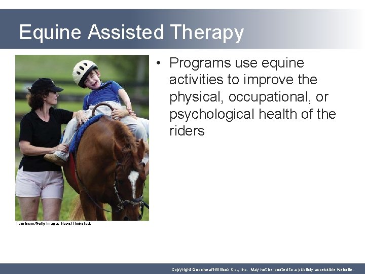 Equine Assisted Therapy • Programs use equine activities to improve the physical, occupational, or