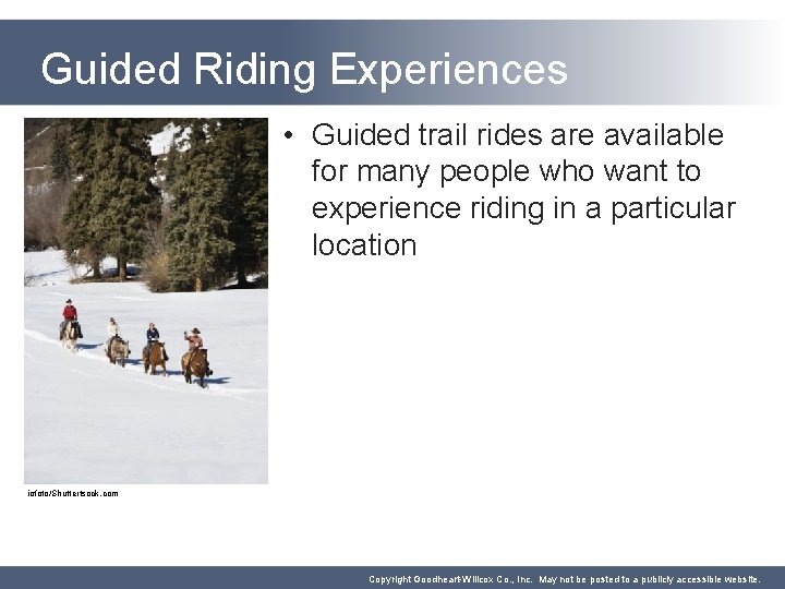 Guided Riding Experiences • Guided trail rides are available for many people who want