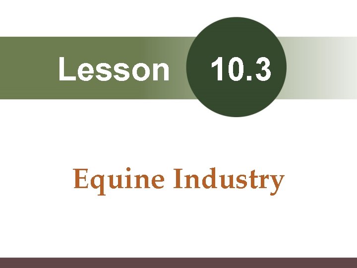 Lesson 10. 3 Equine Industry 