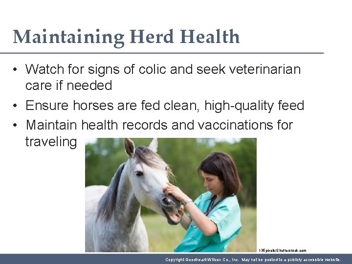 Maintaining Herd Health • Watch for signs of colic and seek veterinarian care if