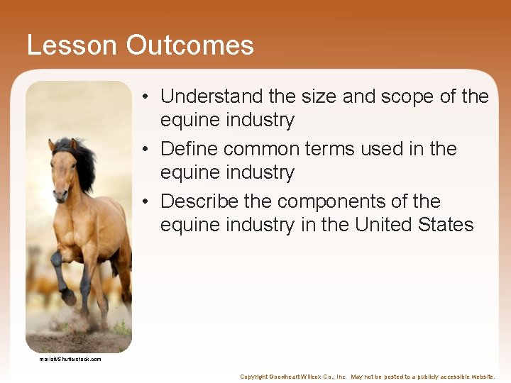Lesson Outcomes • Understand the size and scope of the equine industry • Define