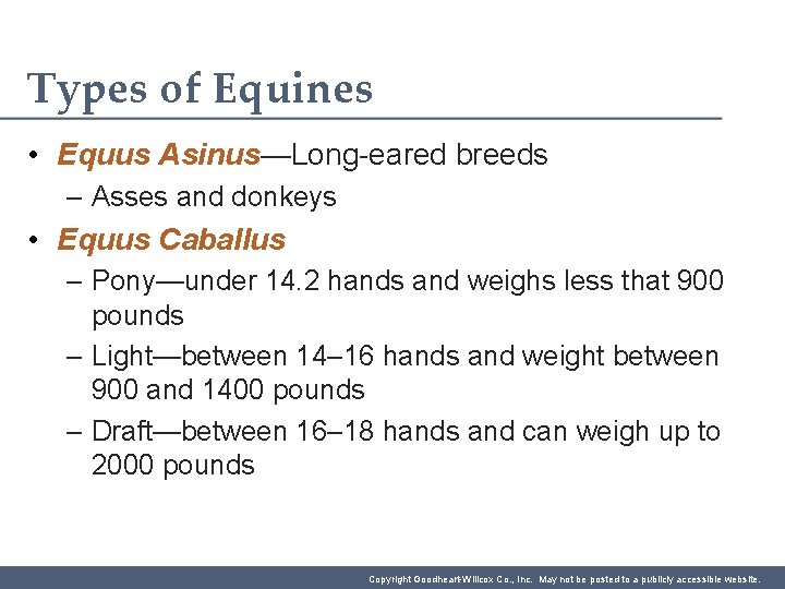 Types of Equines • Equus Asinus—Long-eared breeds – Asses and donkeys • Equus Caballus