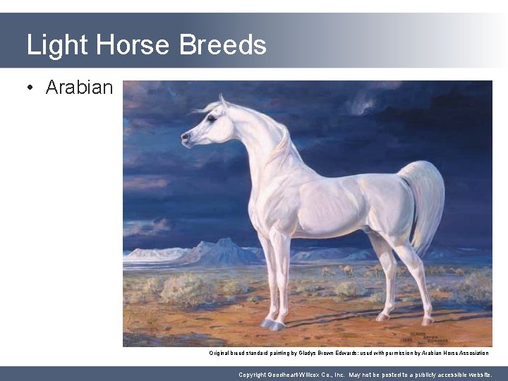 Light Horse Breeds • Arabian Original breed standard painting by Gladys Brown Edwards; used